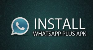 Whatsapp+